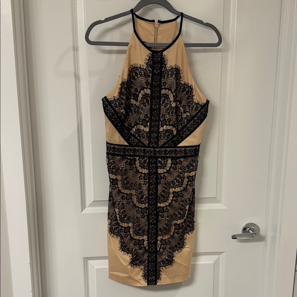 Elegant Black and Tan Lace Dress - Picture 1 of 6